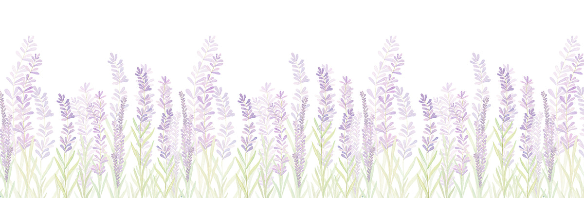 Lavender Mural – lilac – 500x170 cm
