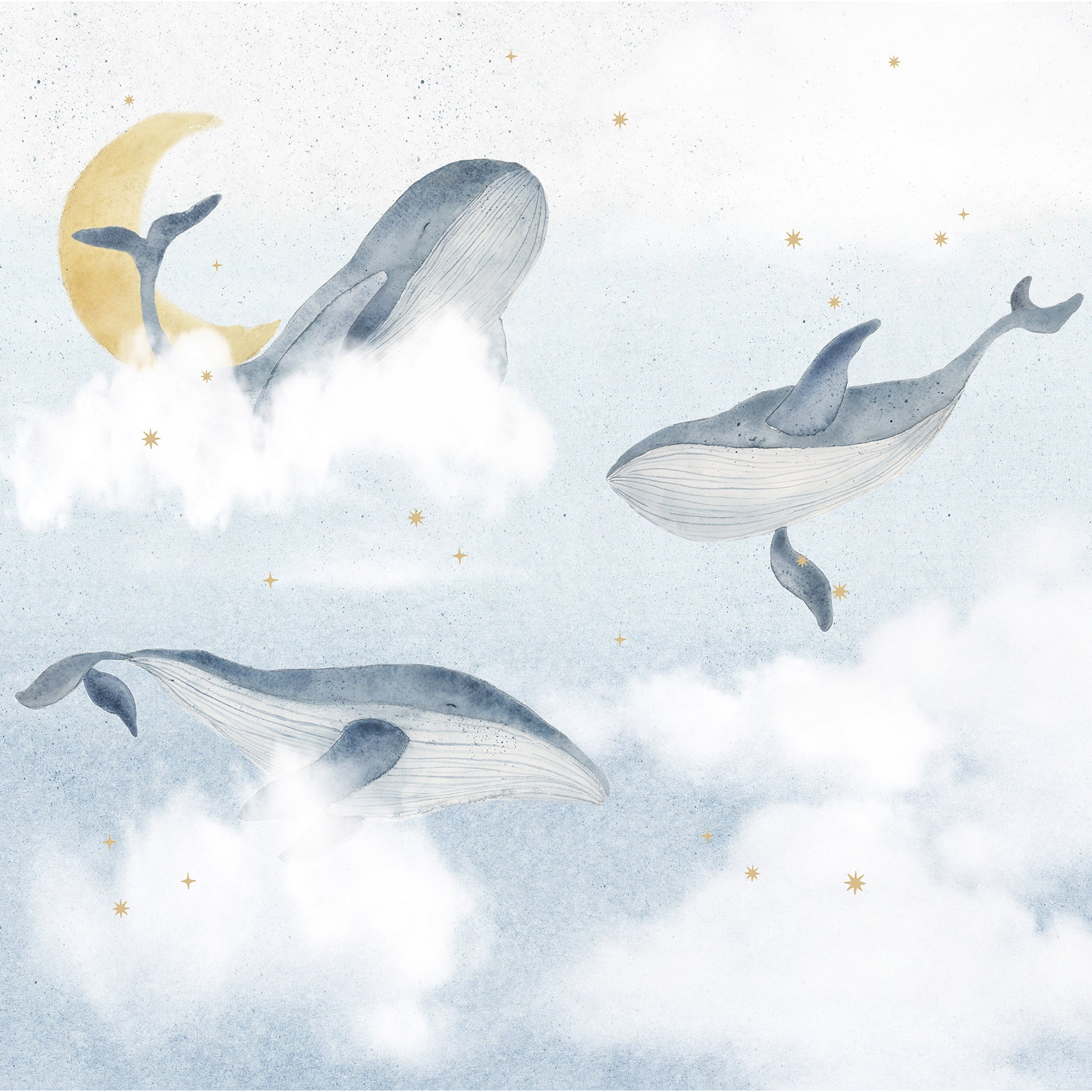 Papel de parede Baleias no Céu