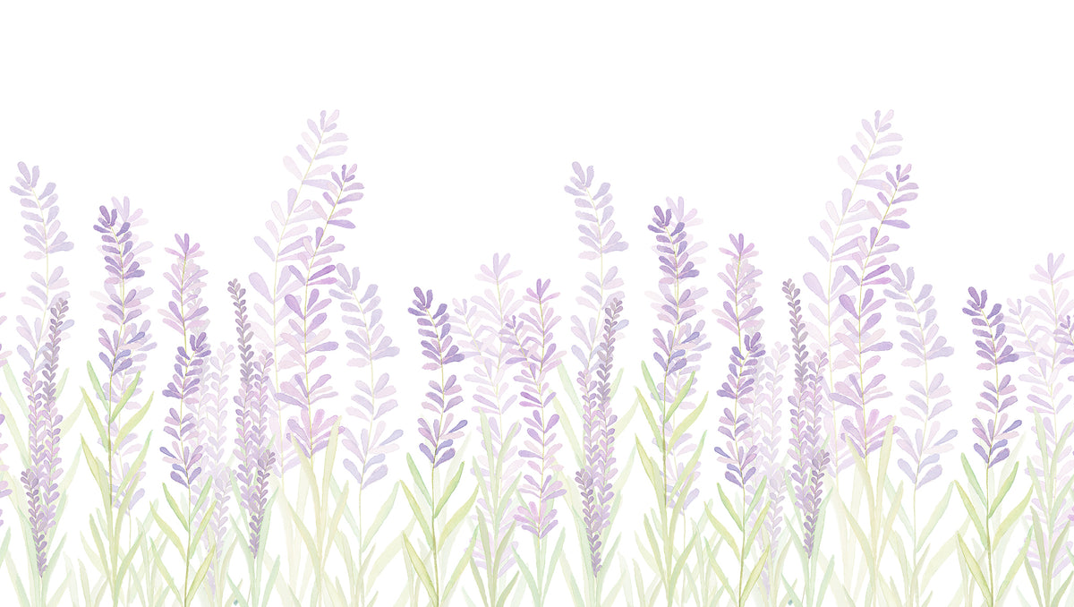 Lavender Mural – lilac – 300x170 cm