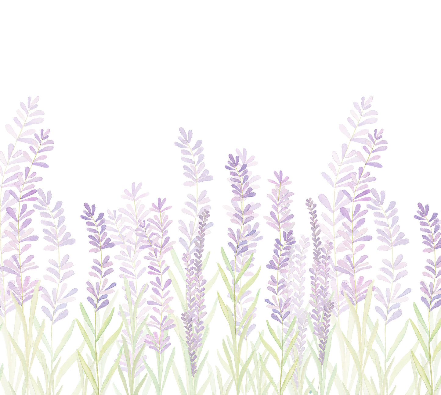 Papel de parede Lavandas
