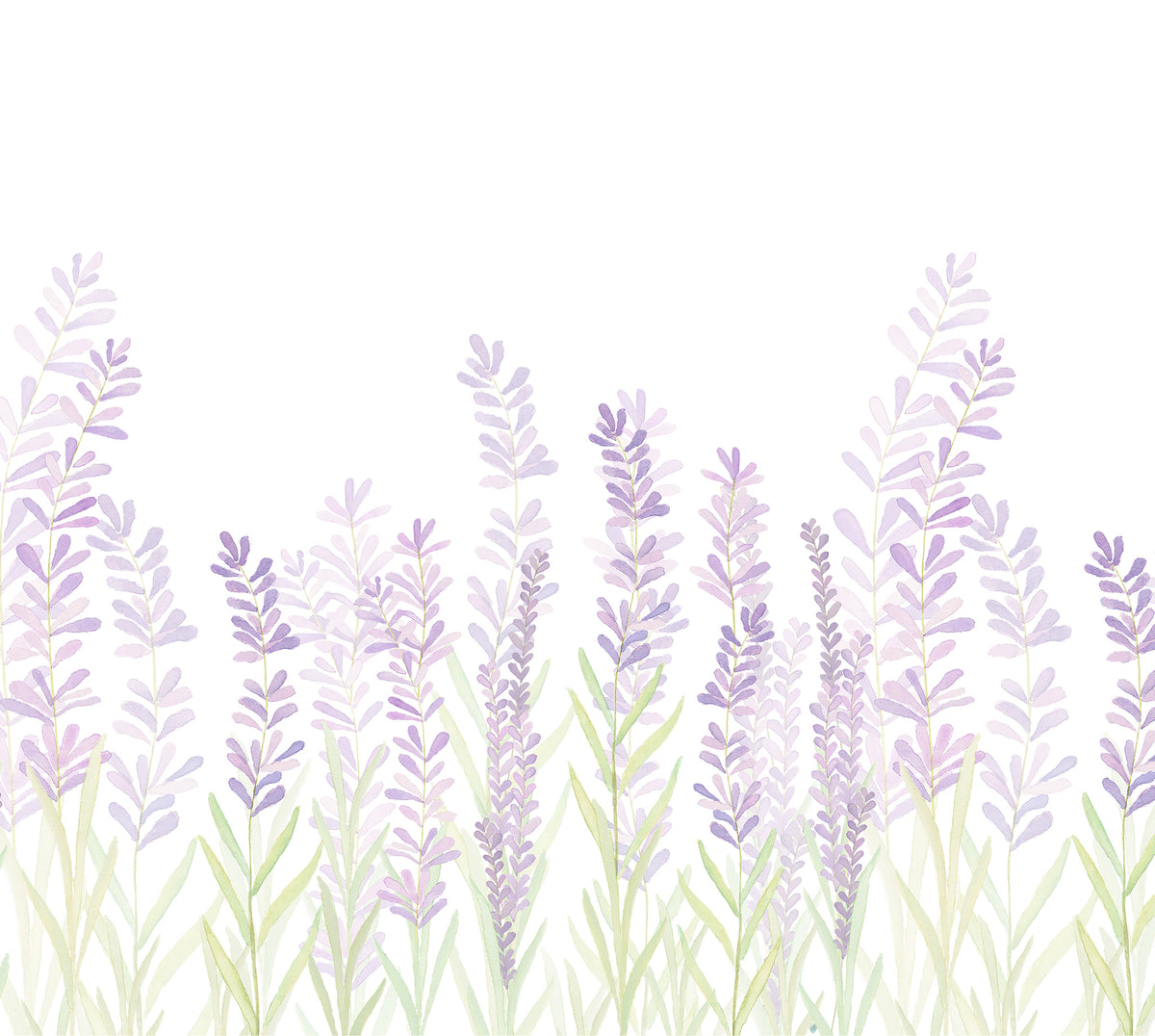Lavender Mural – lilac – 300x270 cm