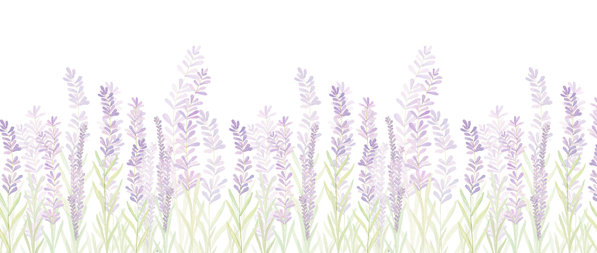 Lavender Mural – lilac – 400x170 cm