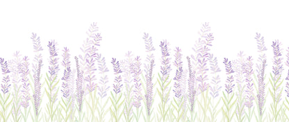 Lavender Mural – lilac – 400x170 cm