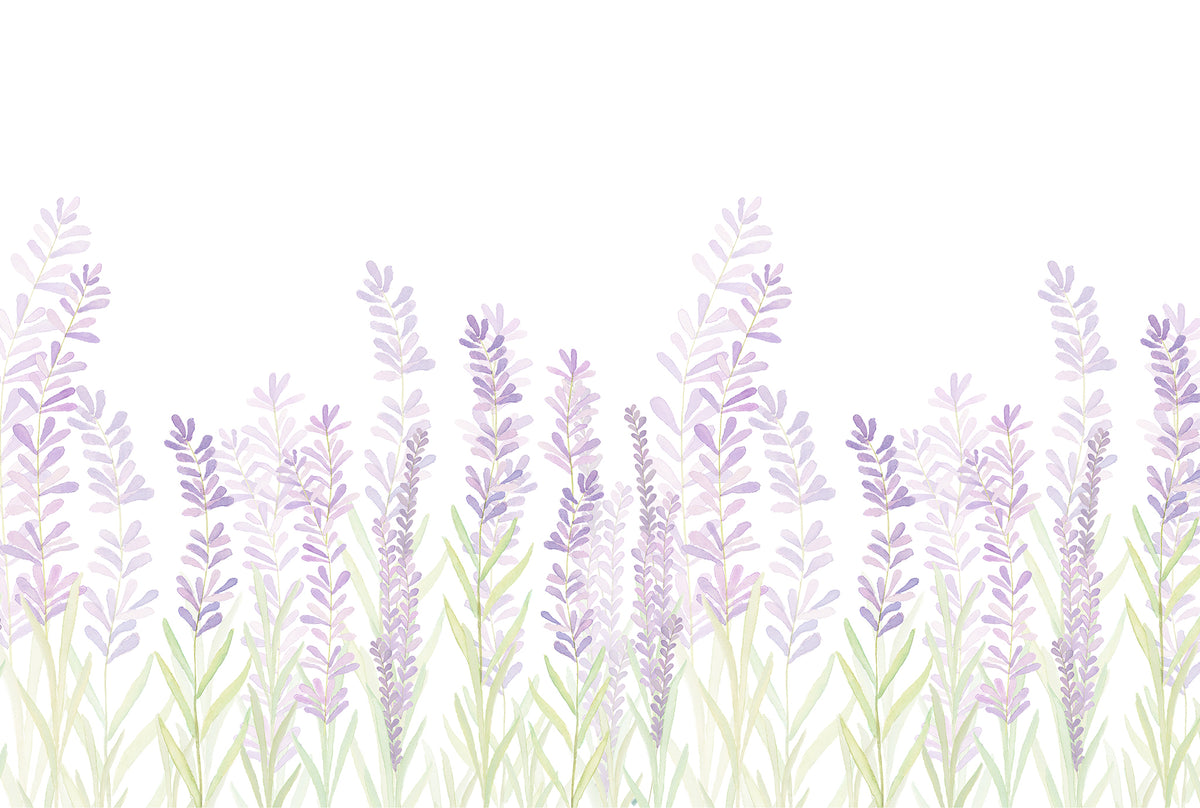 Lavender Mural – lilac – 400x270 cm
