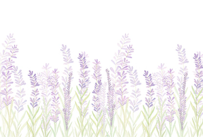 Lavender Mural – lilac – 400x270 cm