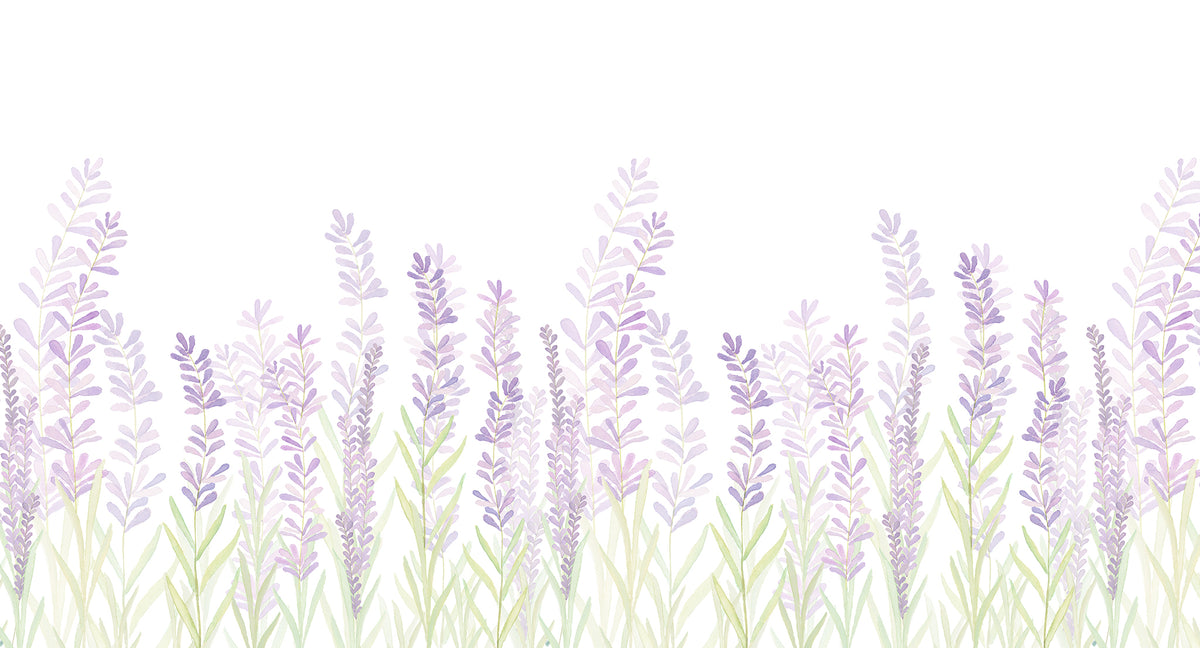 Lavender Mural – lilac – 500x270 cm