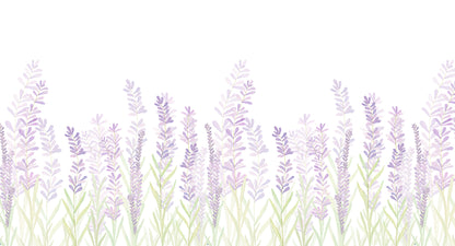 Lavender Mural – lilac – 500x270 cm