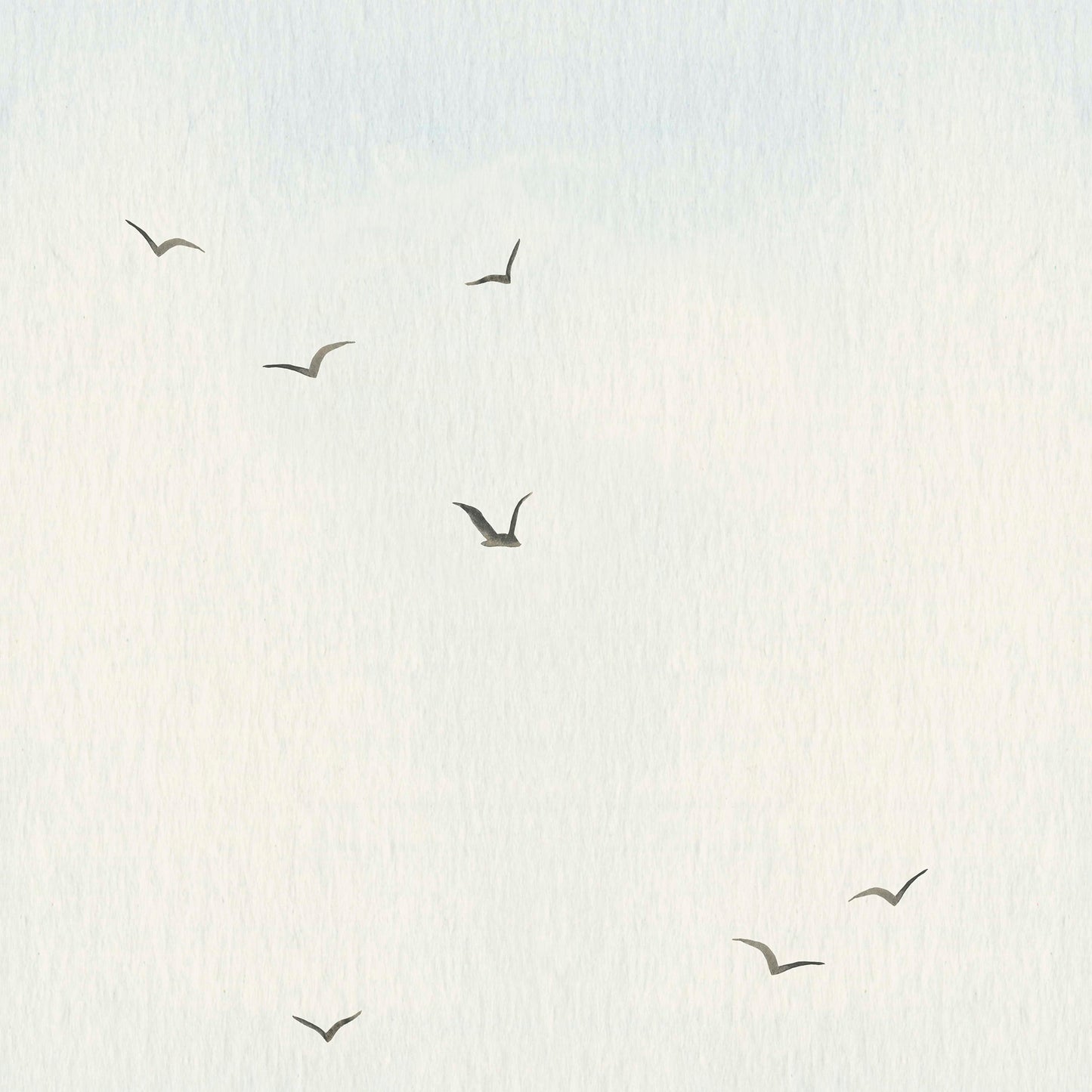 Papel de parede Céu com Gaivotas