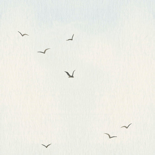 Papel de parede Céu com Gaivotas
