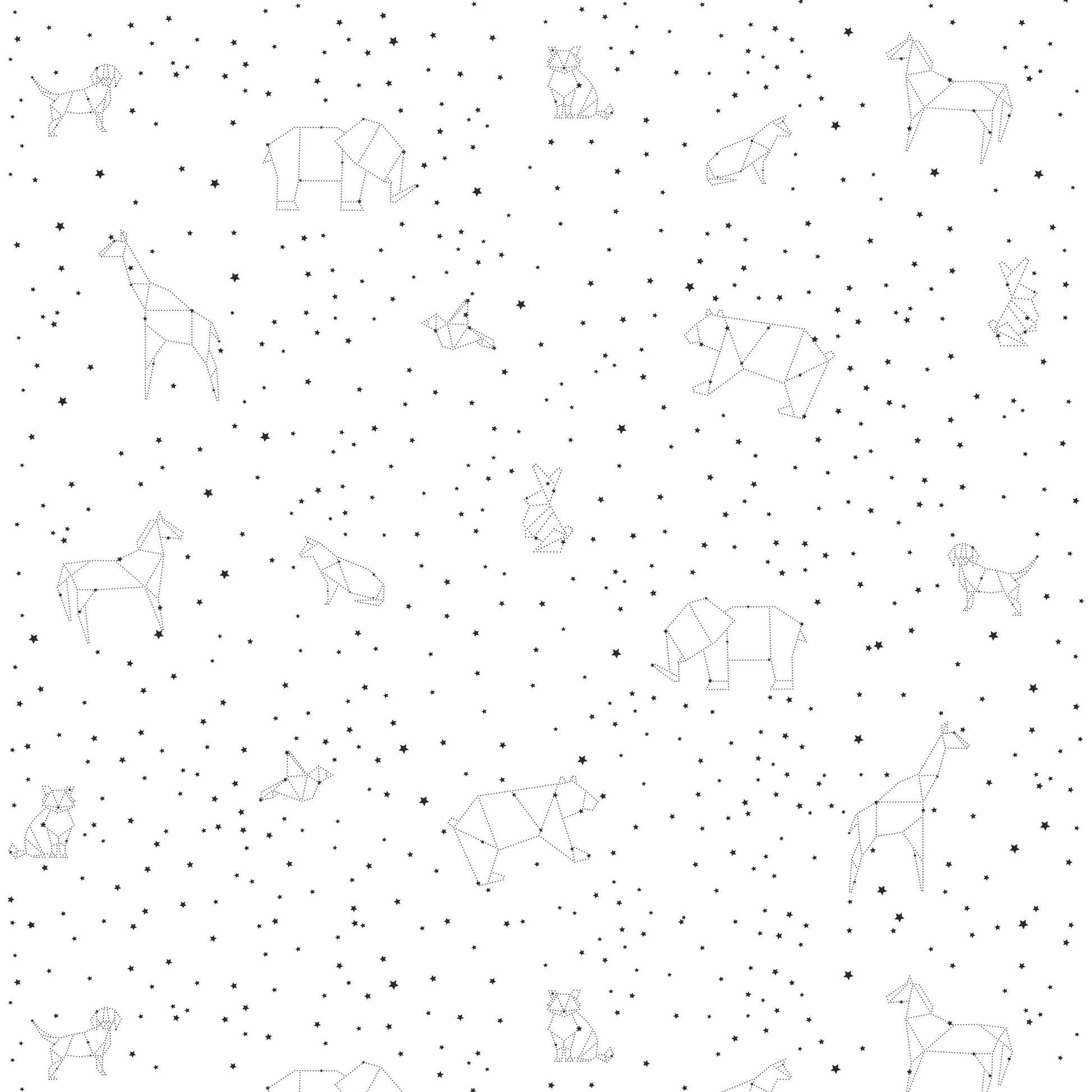 Papel de parede Constelação