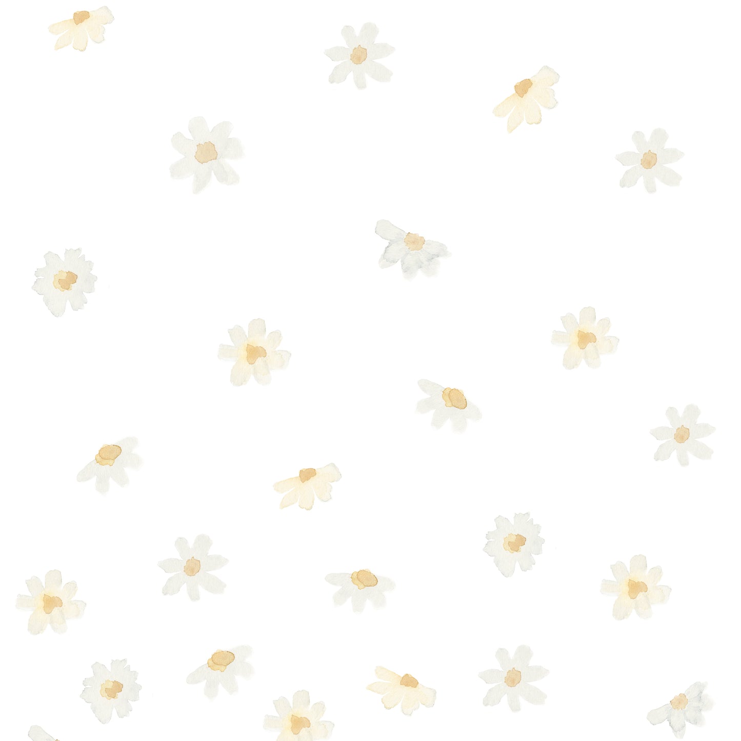 Papel de Parede Margaridinhas