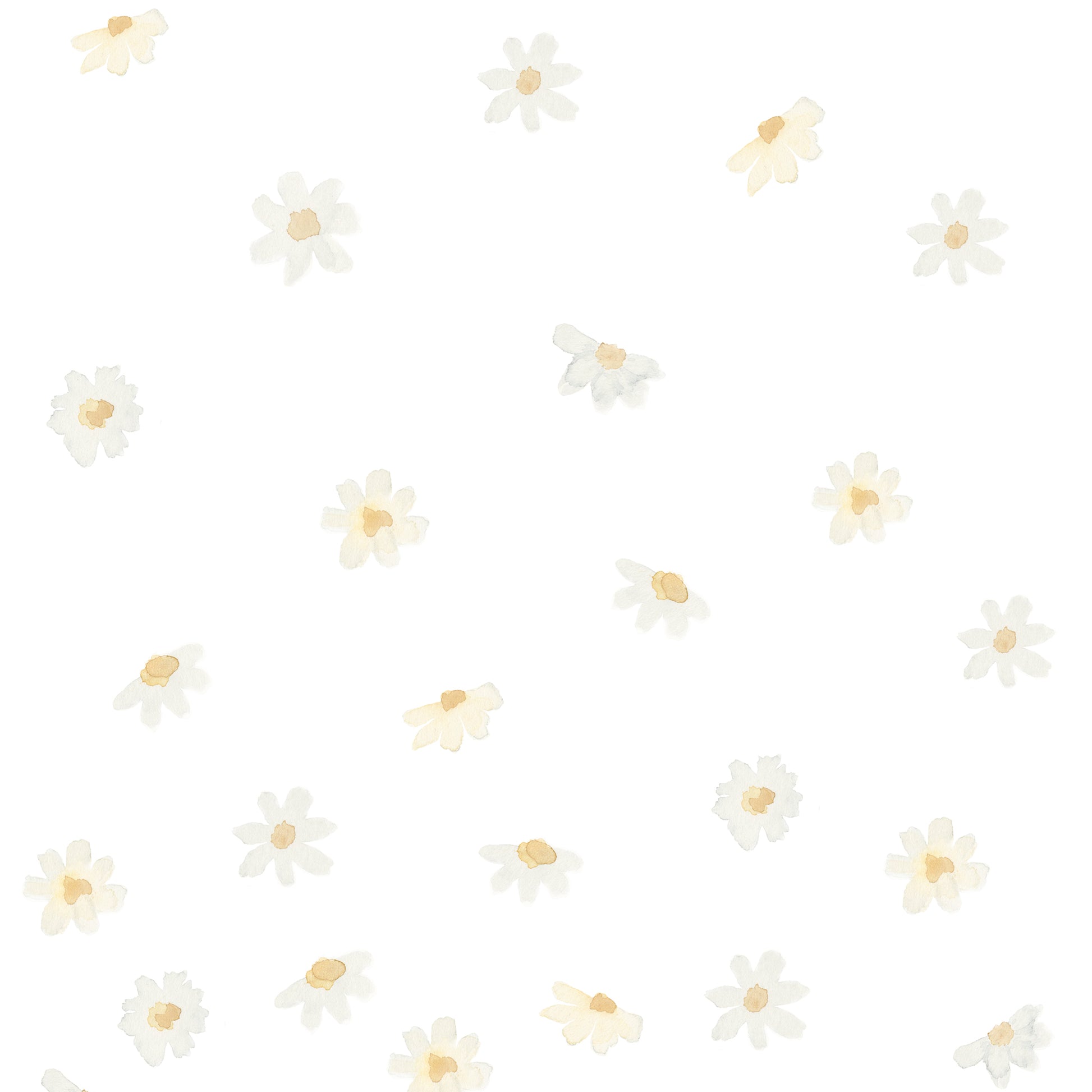 Papel de Parede Margaridinhas