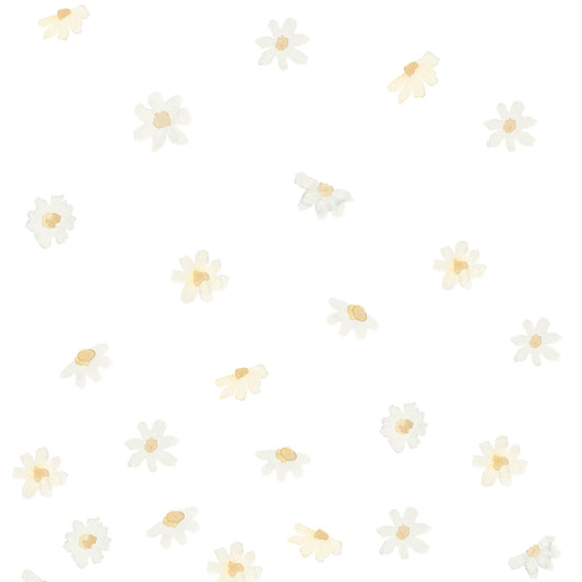 Papel de Parede Margaridinhas